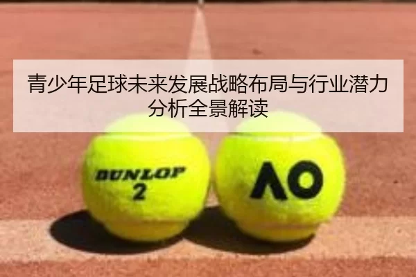 青少年足球未来发展战略布局与行业潜力分析全景解读